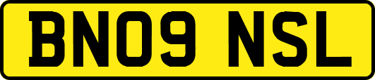 BN09NSL