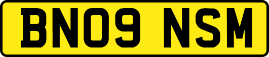 BN09NSM