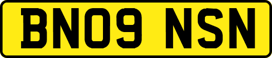 BN09NSN