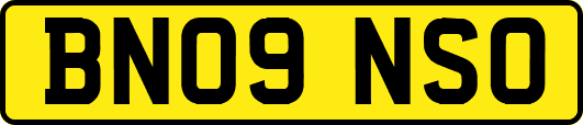 BN09NSO