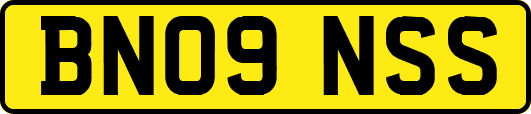 BN09NSS