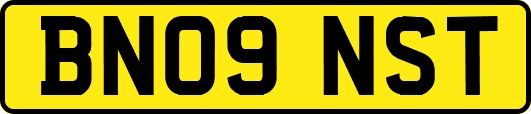 BN09NST
