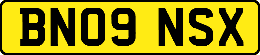 BN09NSX