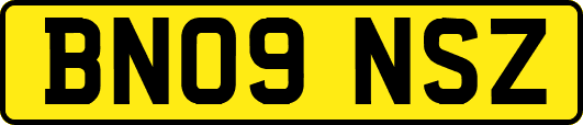 BN09NSZ
