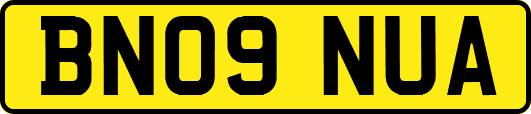 BN09NUA