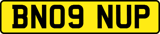 BN09NUP