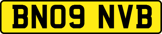 BN09NVB