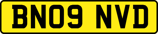 BN09NVD