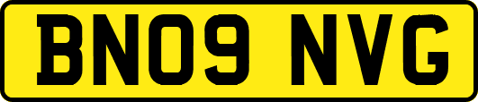 BN09NVG