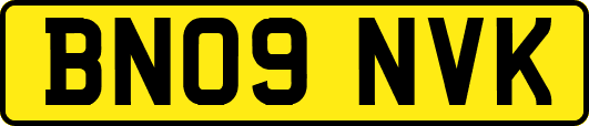 BN09NVK