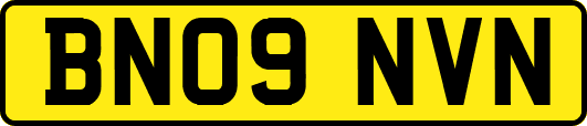 BN09NVN