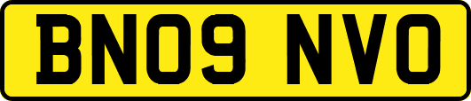 BN09NVO