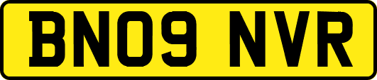 BN09NVR