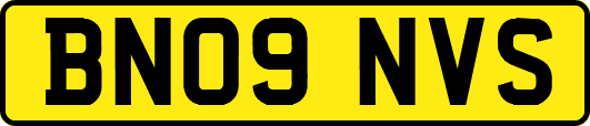 BN09NVS