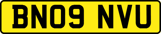 BN09NVU