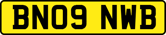 BN09NWB