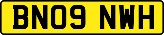 BN09NWH