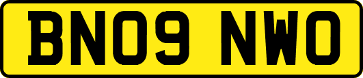 BN09NWO