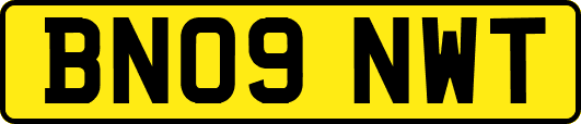 BN09NWT