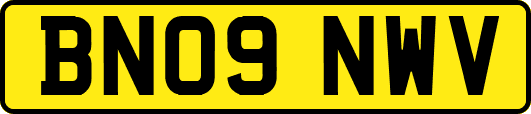 BN09NWV