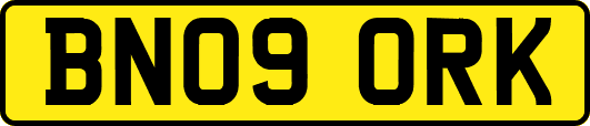 BN09ORK