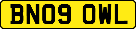 BN09OWL