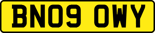 BN09OWY