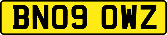 BN09OWZ