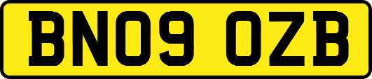 BN09OZB