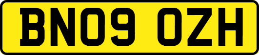 BN09OZH