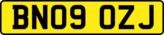 BN09OZJ