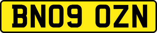 BN09OZN