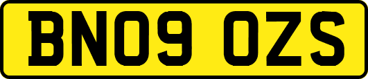 BN09OZS