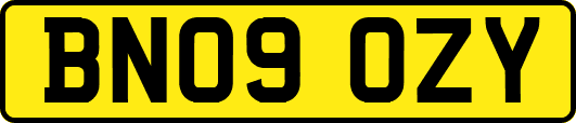 BN09OZY