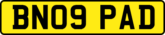 BN09PAD