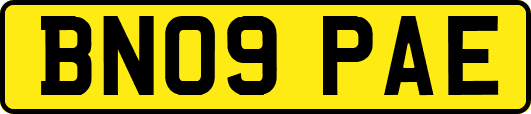 BN09PAE