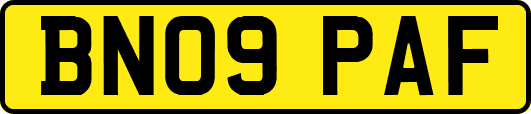 BN09PAF