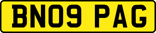 BN09PAG
