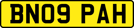 BN09PAH