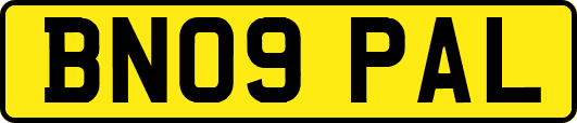 BN09PAL
