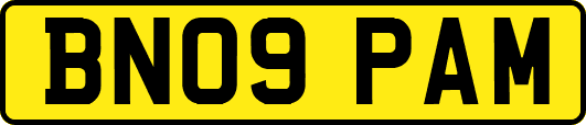 BN09PAM
