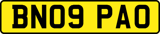 BN09PAO
