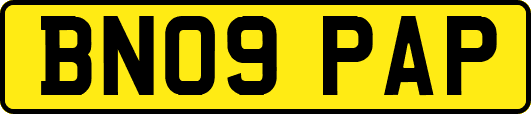 BN09PAP