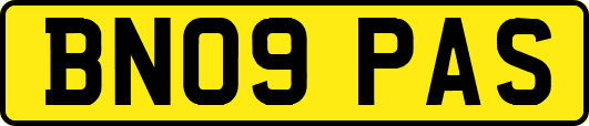 BN09PAS