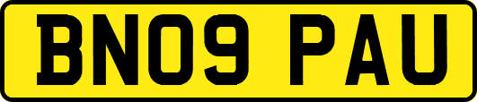BN09PAU