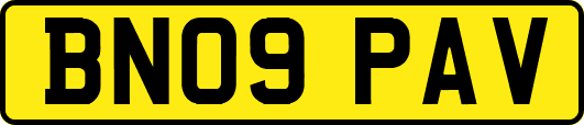BN09PAV