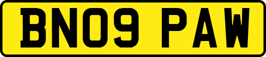 BN09PAW