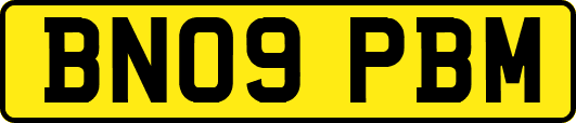 BN09PBM