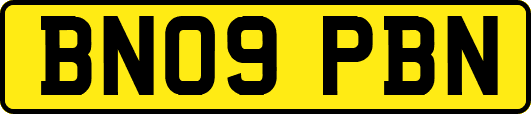 BN09PBN