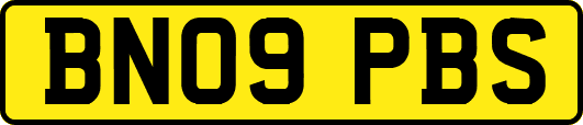 BN09PBS